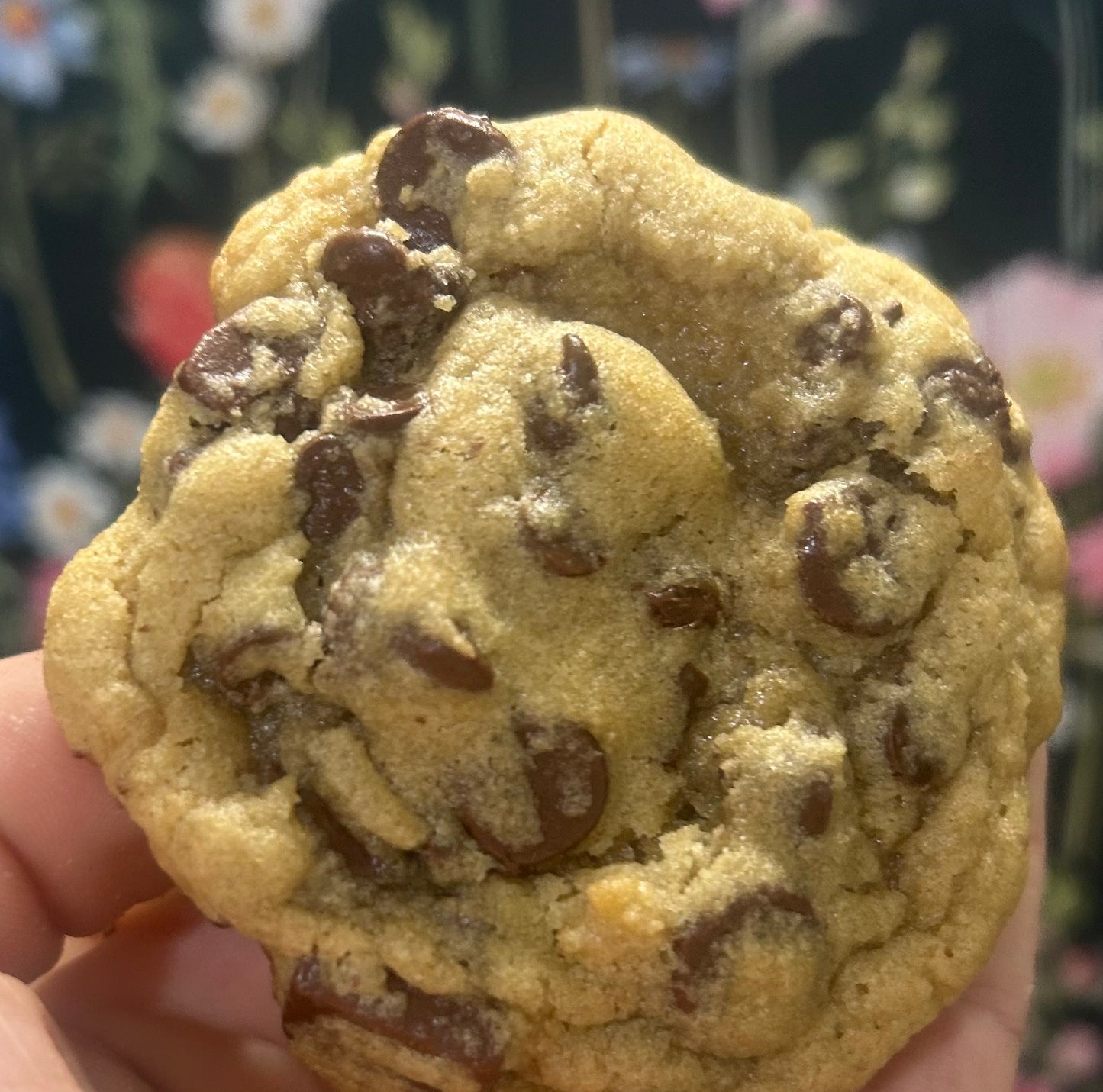 Chocolate Chunk Recipe